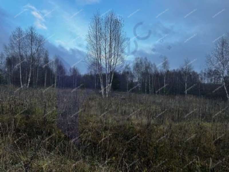 земельный участок 2 000 соток деревня Фефелиха